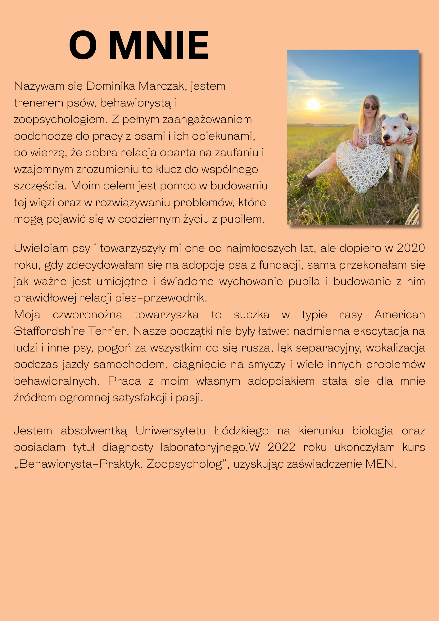 klatka kennelowa pies