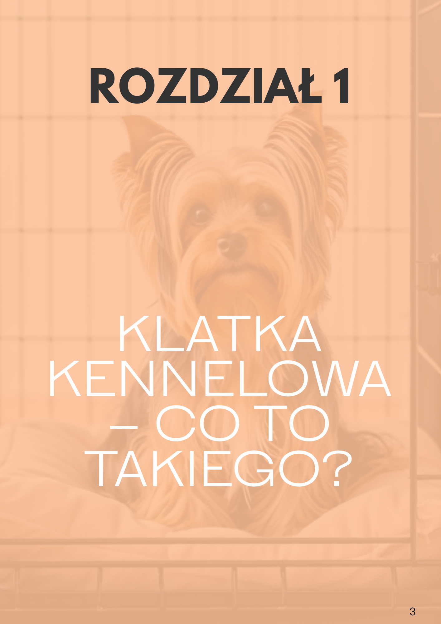 rodzial 1 klatka