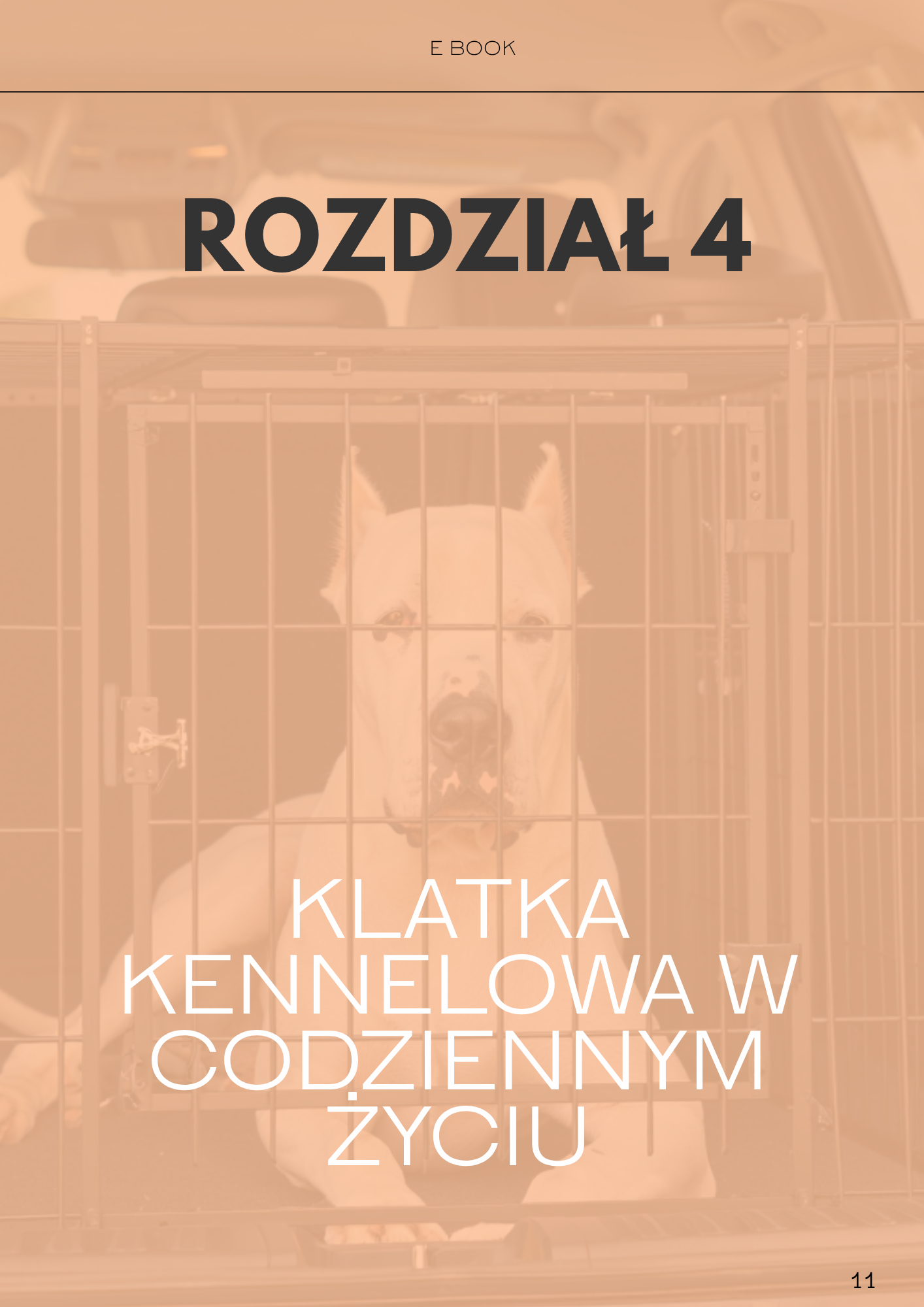 rozdzial 4 klatka