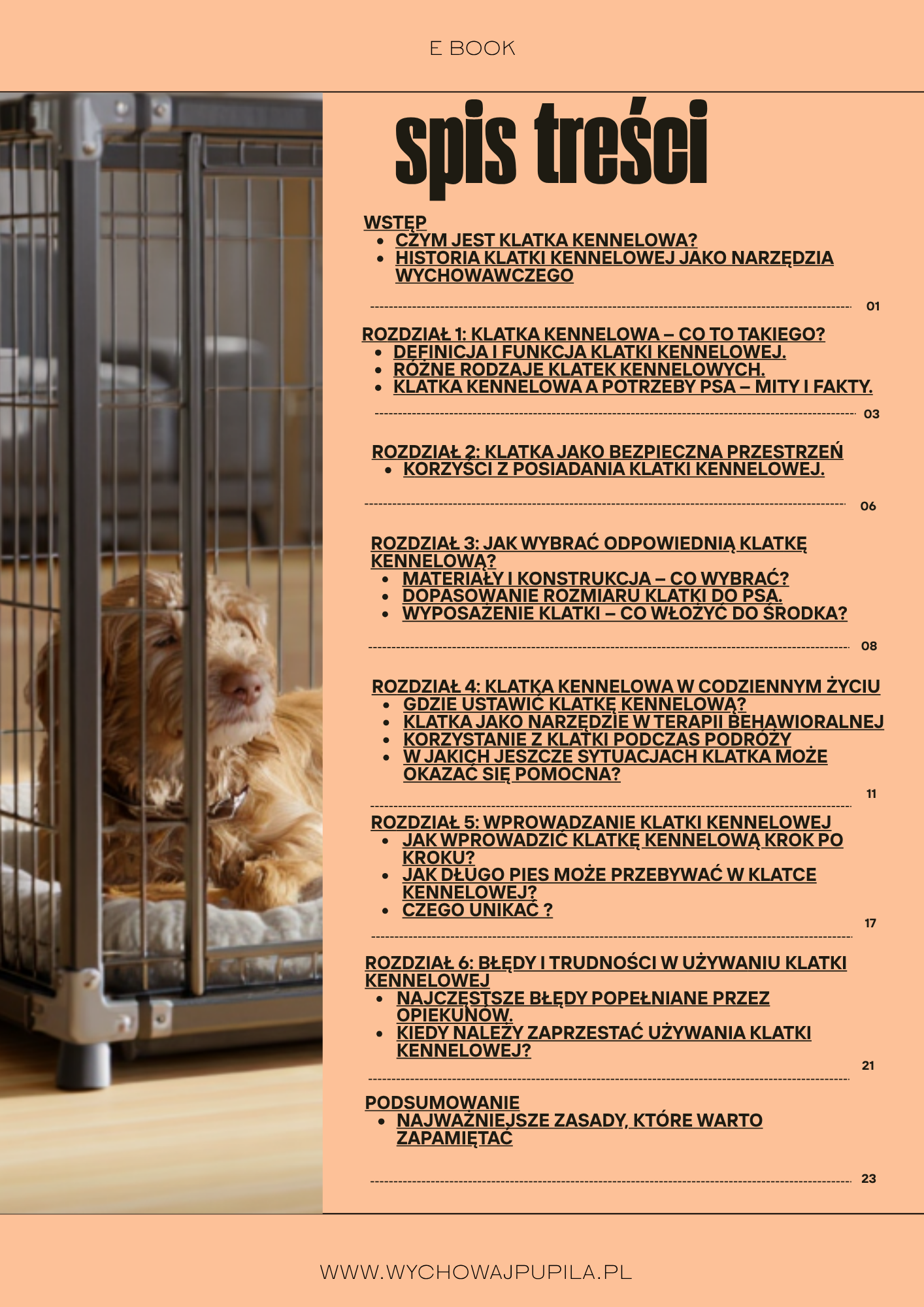 klatka kennelowa