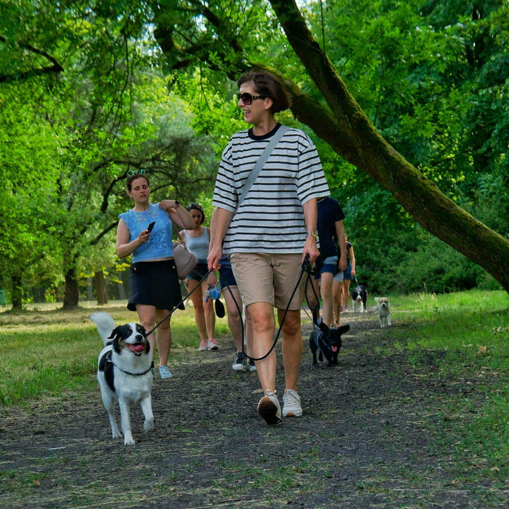 spacer socjalizacyjny Łódź