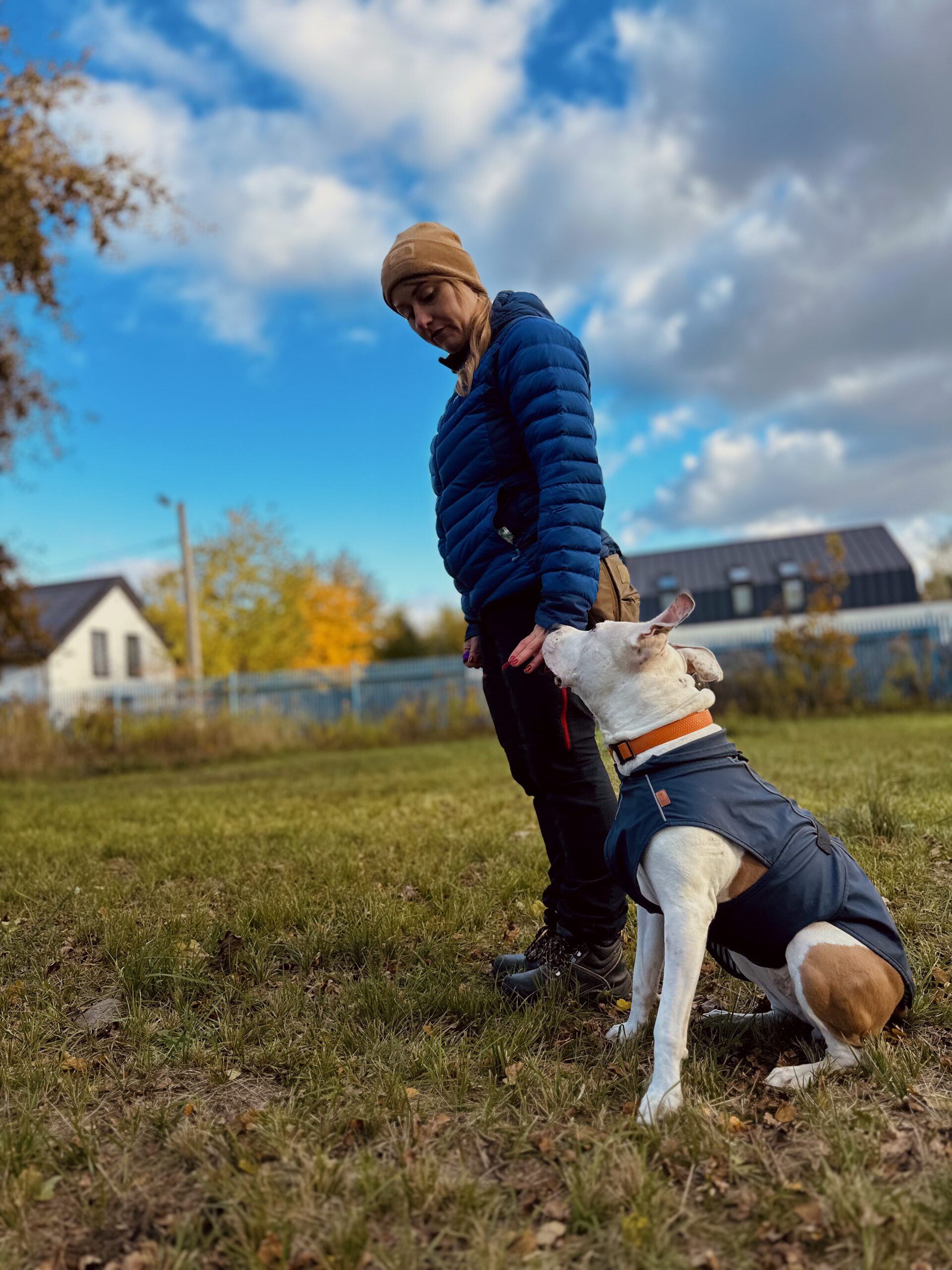 szkolenie grupowe pies