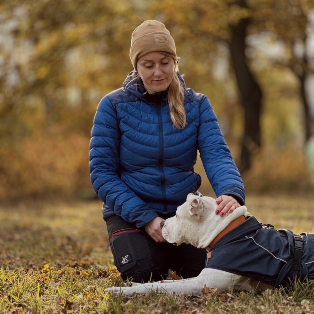 pies lękliwy Łódź