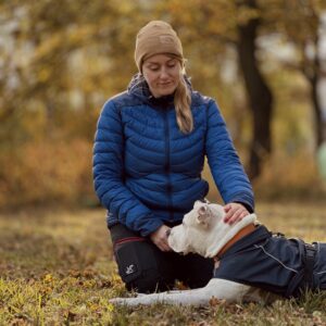 pies lękliwy Łódź