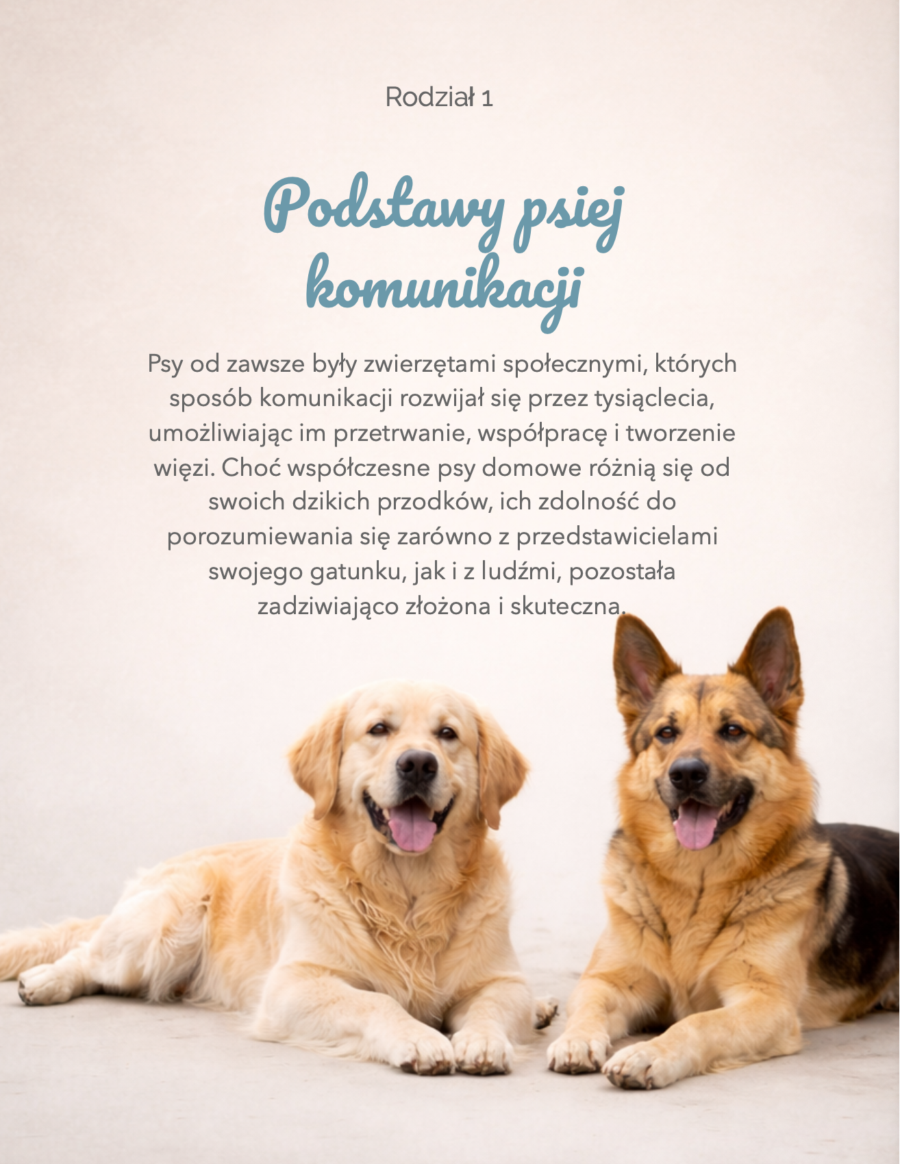 Zrzut ekranu 2026-02-12 o 11.43.11