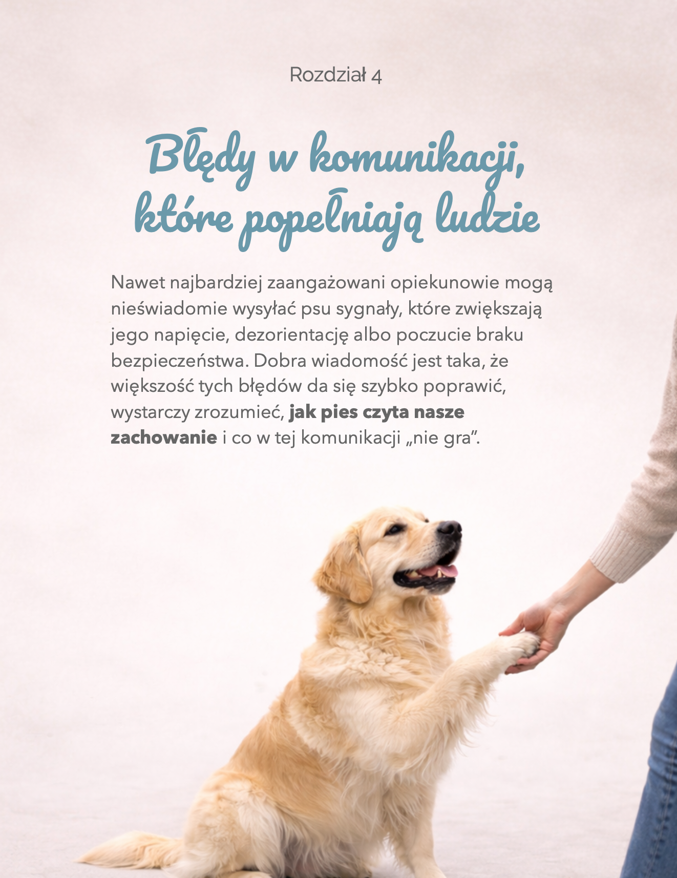 Zrzut ekranu 2026-02-12 o 11.44.36