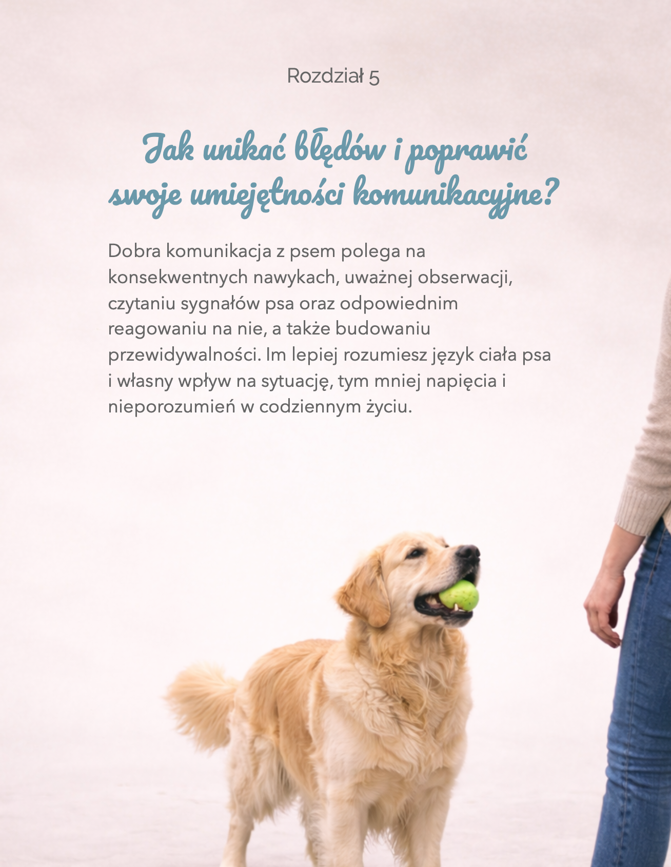 Zrzut ekranu 2026-02-12 o 11.44.47