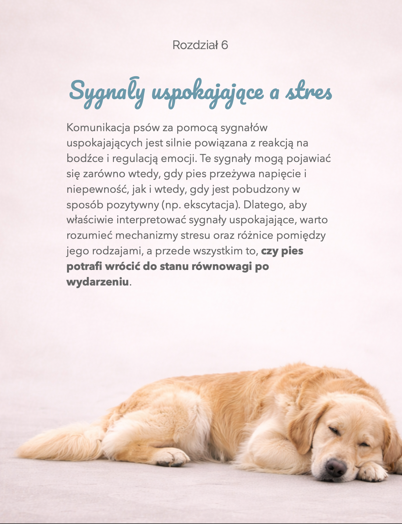 Zrzut ekranu 2026-02-12 o 11.44.56